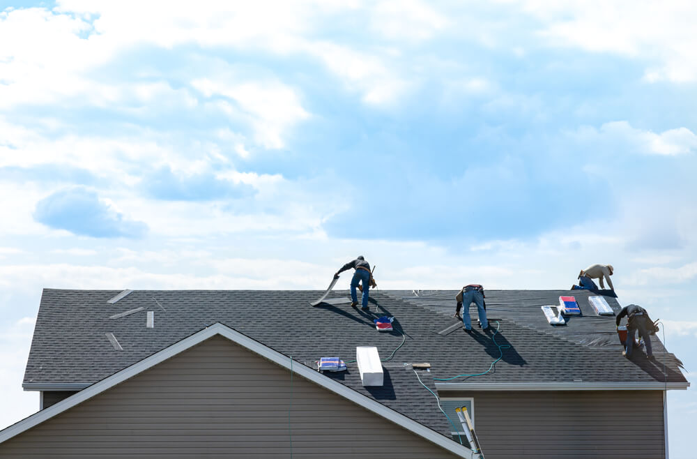 How to Protect Your Roof from Wildlife Damage?