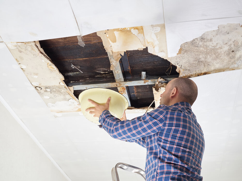Roof Water Damage: DIY Repair vs. Professional
